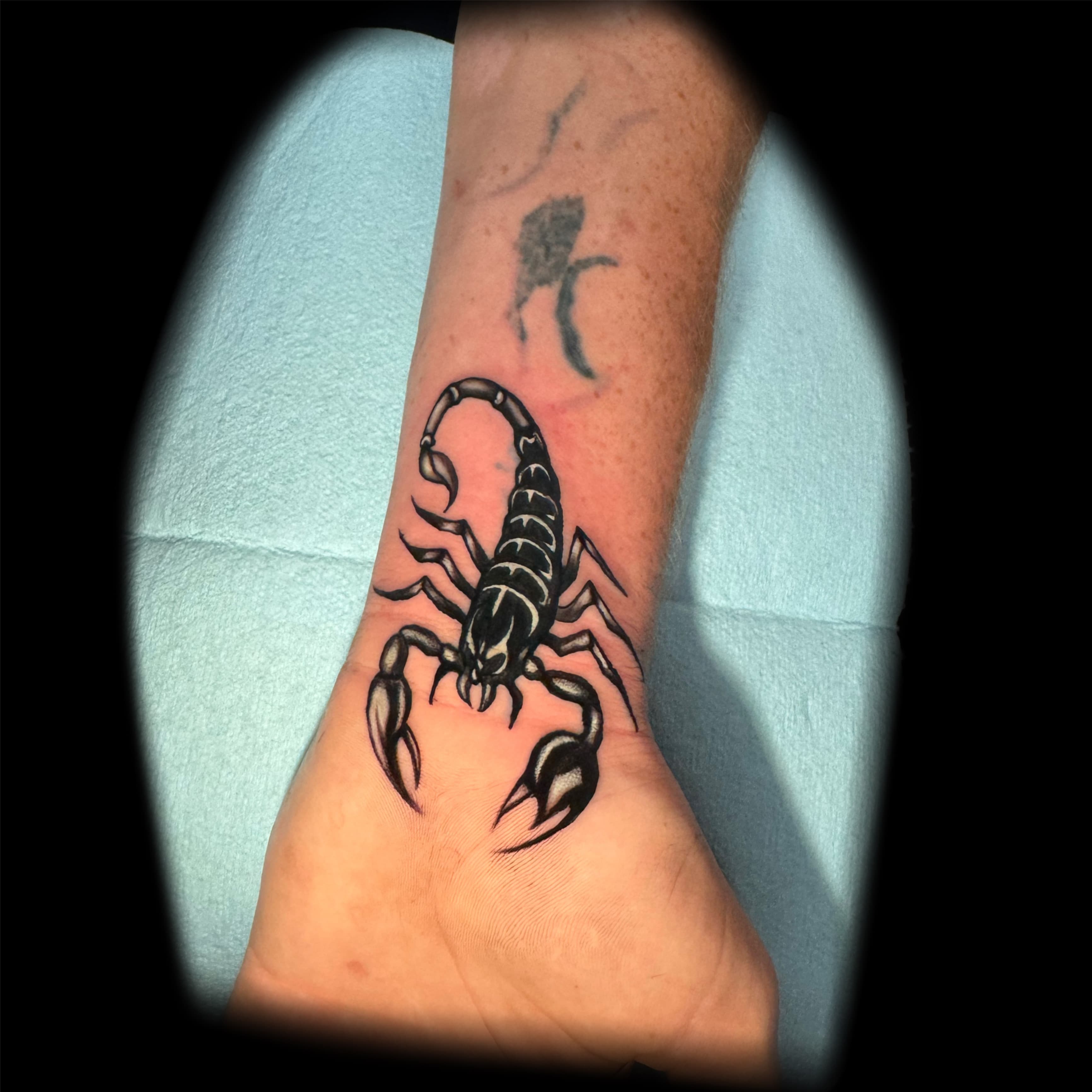 Scorpion 🦂 Cover Up
